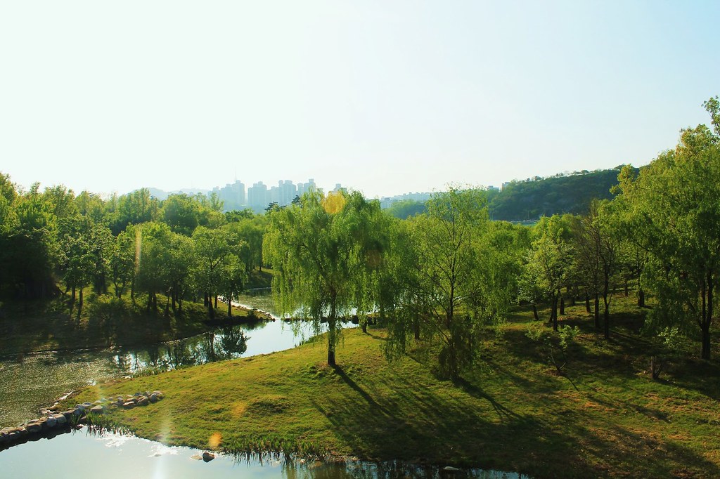 Seoul Forest