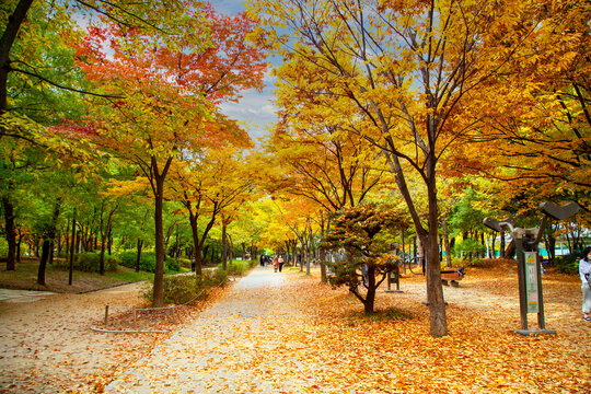 Seoul Forest