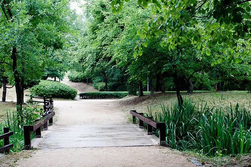 Seoul Forest